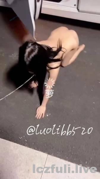 萝莉小母狗【luolibb520】视频合集16V-204M插图2